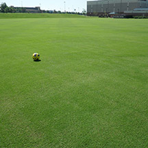 Latitude 36