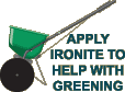 Apply ironite to help with greening